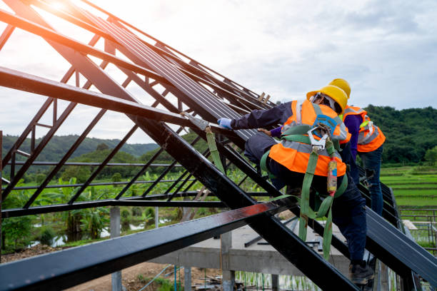 Best Local Roofing Companies  in Dawson Springs, KY