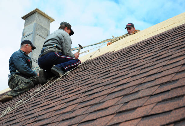 Best Roof Repair Specialists  in Dawson Springs, KY