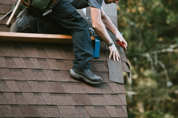 Best Roof Maintenance Services  in Dawson Springs, KY